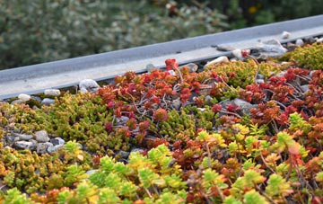 the cost of Richs Holford green roof installation