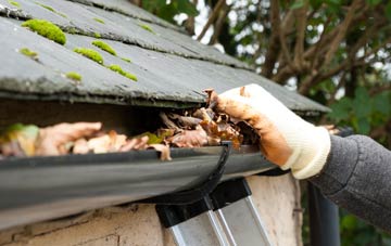 gutter cleaning Richs Holford, Somerset