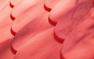 Richs Holford plastic roof costs