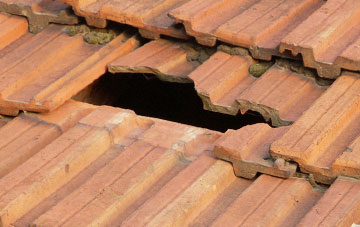 roof repair Richs Holford, Somerset