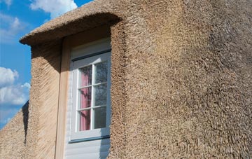 Richs Holford thatch roof disadvantages