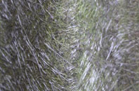 Richs Holford fibreglass roof work